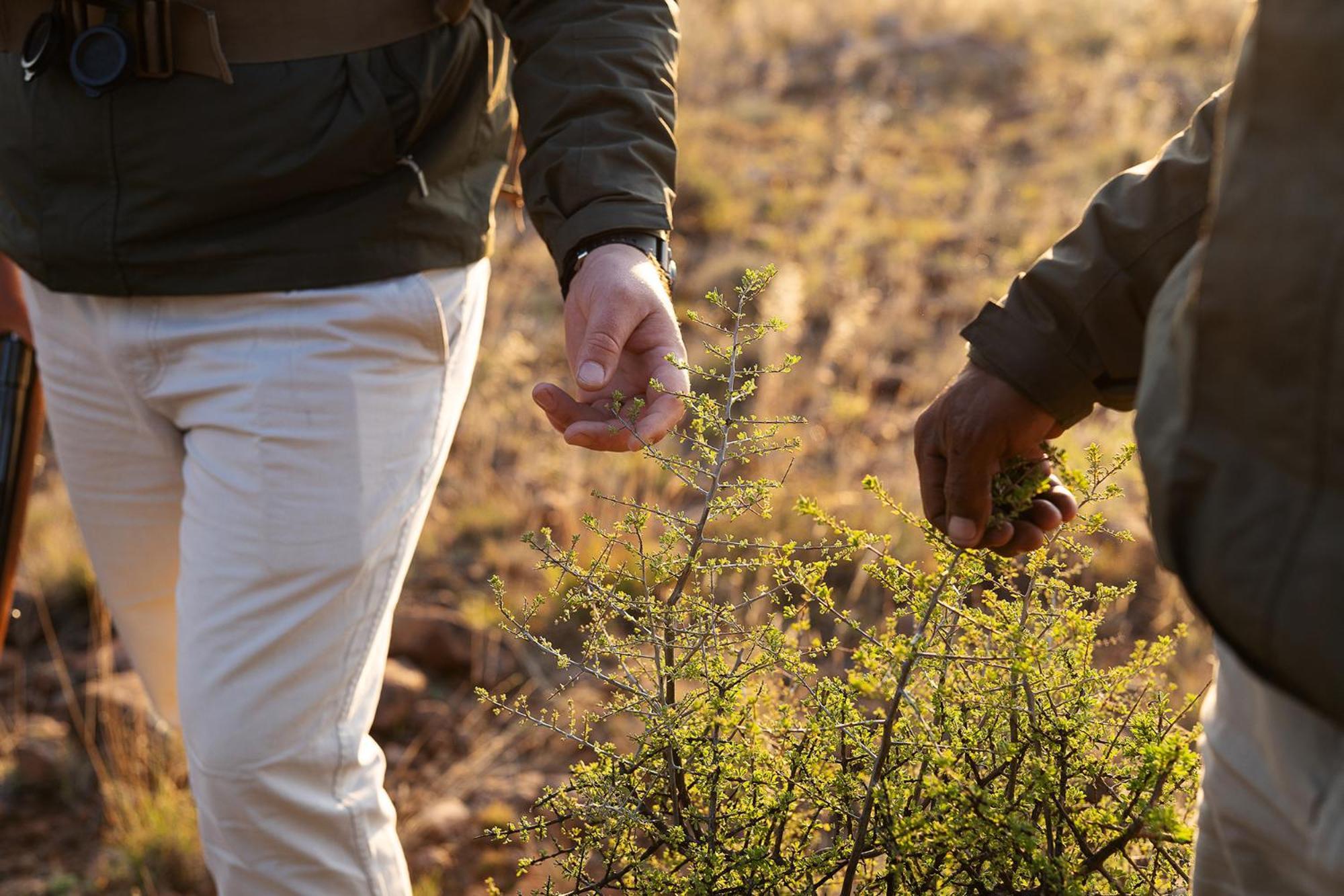 Samara Karoo Reserve Βίλα Graaff-Reinet Εξωτερικό φωτογραφία